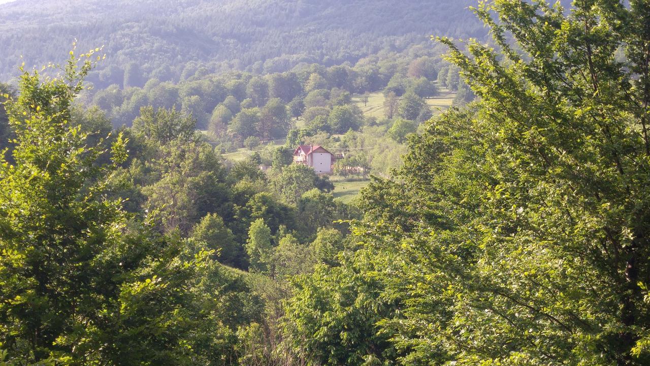 Hotel Casa Din Piatra à Poiana  Extérieur photo
