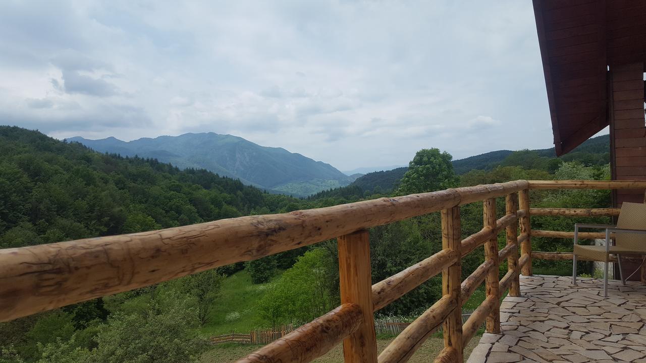Hotel Casa Din Piatra à Poiana  Extérieur photo