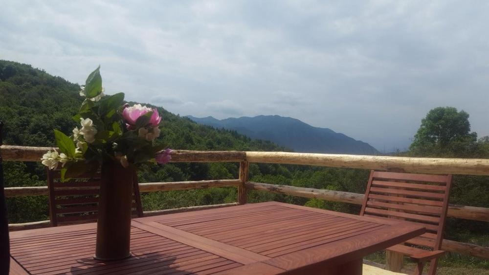 Hotel Casa Din Piatra à Poiana  Extérieur photo