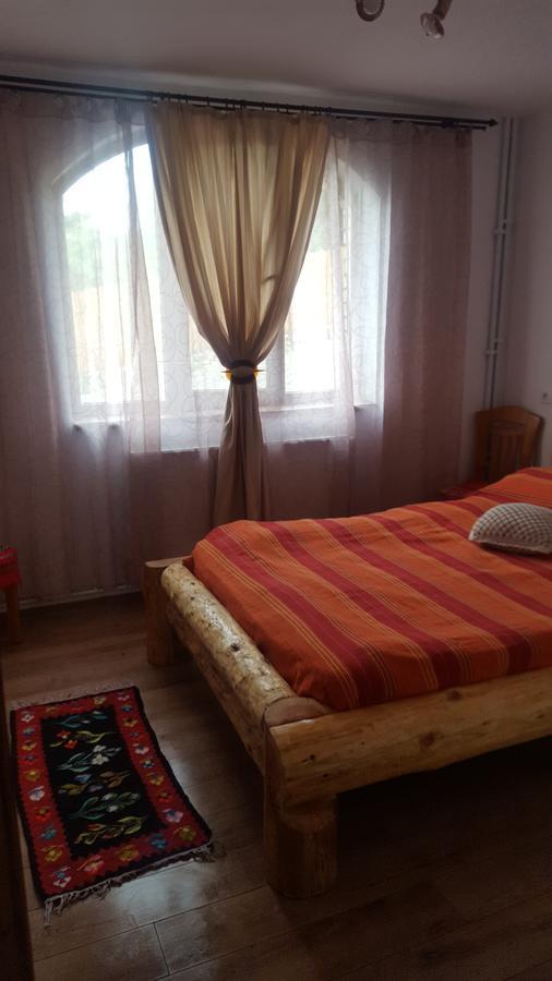 Hotel Casa Din Piatra à Poiana  Extérieur photo