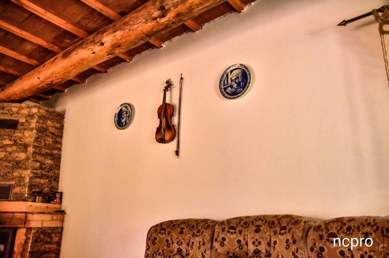 Hotel Casa Din Piatra à Poiana  Extérieur photo